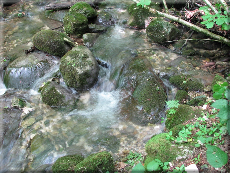 foto Lago del Corlo